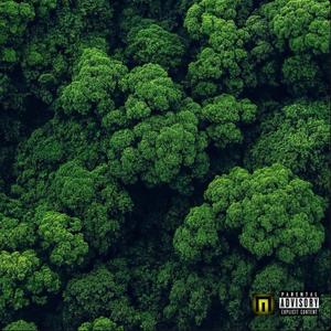 No Lacking (Explicit)