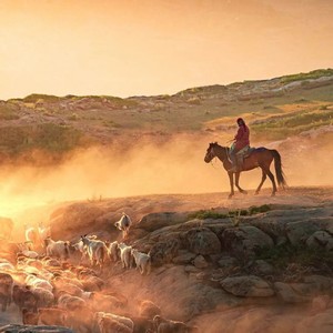 突然的自我 (电子琴)