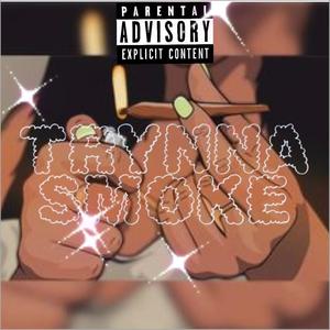 Trynna Smoke (feat. GTB jay) [Explicit]