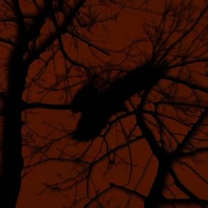 COLUMKILL (feat. LOST BOI) (Explicit)