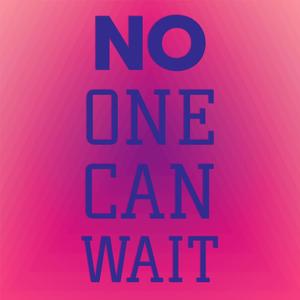 No One Can Wait