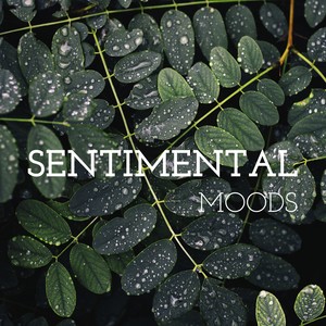 Sentimental Moods - Calm Background Music for Relaxation, Good Time to Relax