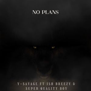 No Plan