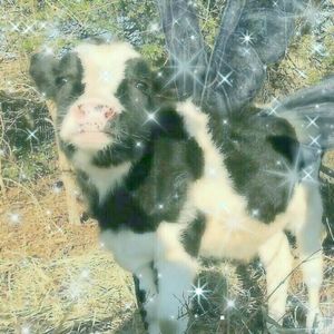 No Keria Enamorarme, Pero... (Explicit)