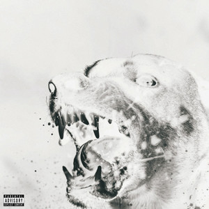 Angrydog (Explicit)