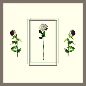 For Eric (Wouldn't Trade Anything)