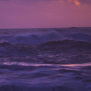 少爷的刘波 - 你像旧文艺复兴的曙光