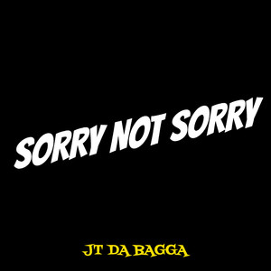 Sorry Not Sorry (Explicit)