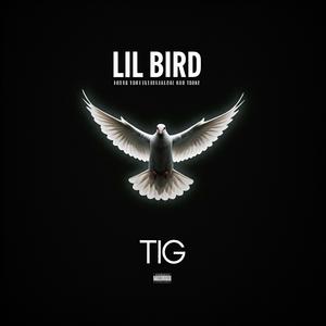 Lil Bird