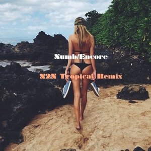 Numb Encore (N2N Tropical Remix)封面