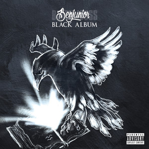 Black Album (Explicit)