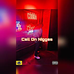 Call On Niggas (Explicit)