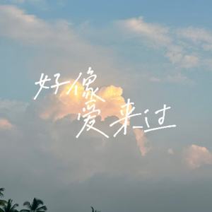 好像爱来过