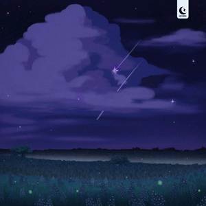 Lil Frenchie - where we left off