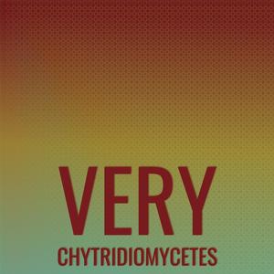 Very Chytridiomycetes