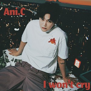I won't cry封面