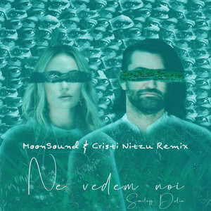 Ne vedem noi (MoonSound & Cristi Nitzu Remix)