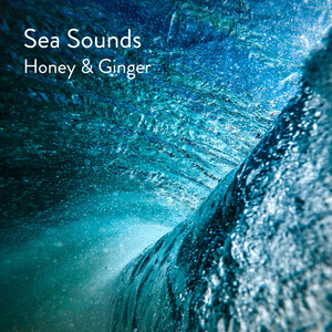 Deep Study Ocean Waves