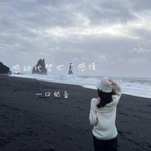 感动代替不了感情