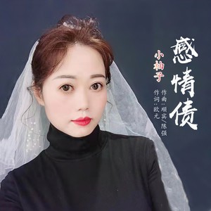 感情债