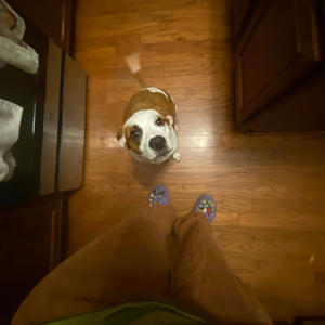 Me and twin (feat. PROD ROLLIE) (Explicit)