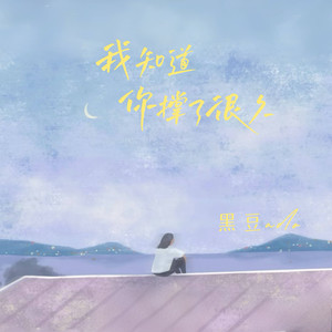 我知道你撑了很久-黑豆ado