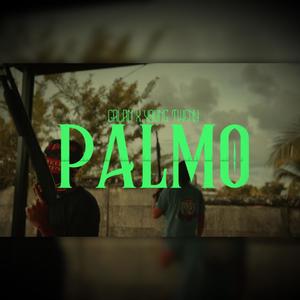 Galan & Young Tweny | Palmo