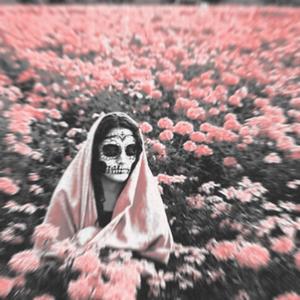 It's Not Real (feat. Nillia)