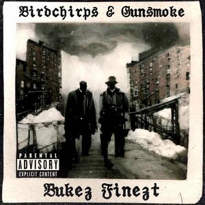 Birdchirps & Gunsmoke (Explicit)