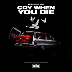 Cry When You Die(feat. Halo The Human) (Explicit)