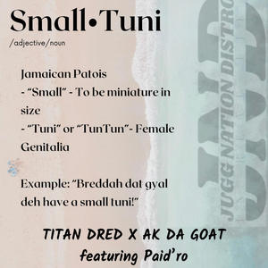 Small Tuni (feat. AK Da Goat & Paid'Ro) [Explicit]