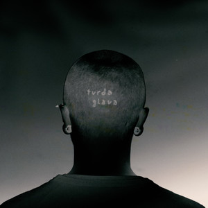 TVRDA GLAVA