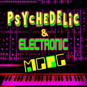 Psychedelic & Electronic Moog