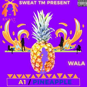 A1/Pineapples (Explicit)