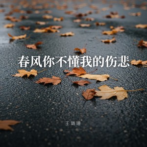 春风你不懂我的伤悲 (女版)