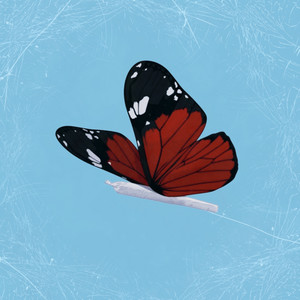 I'm Sorry That I Fcked Up (Explicit)