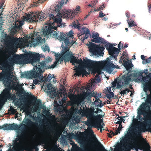 Garden (Daniel Avery Remix)