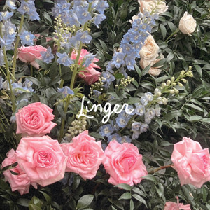 Linger (Acoustic)