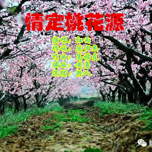 情定桃花源