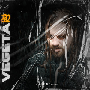 Vegeta (Explicit)