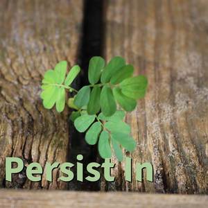 Persist In