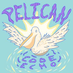 Pelican