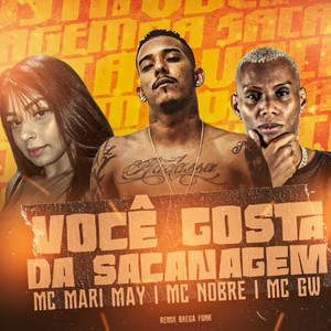 Você Gosta da Sacanagem (Remix Brega Funk|Explicit)