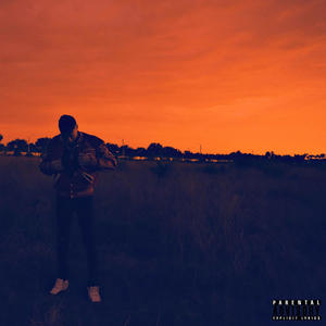 Hating (feat. Dishion) (Remix|Explicit)