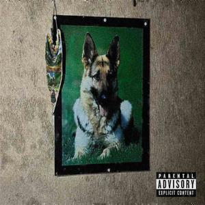 sorry not sorry (feat. 2lmr|Explicit)