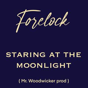 Staring at the moonlight (feat. Forelock)