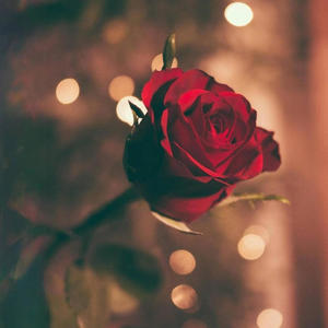 SoGutiii - Crazy For You!