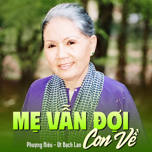 Mẹ Vẫn Đợi Con Về