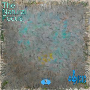 The Natural Focus