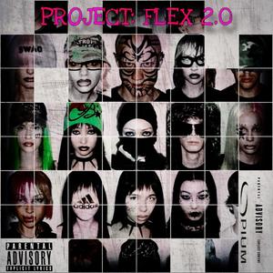 PROJECT: FLEX 2.0 (Explicit)